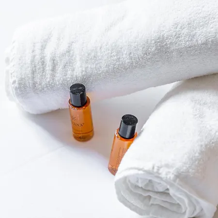 Collection Centre-ville Gare Dijon