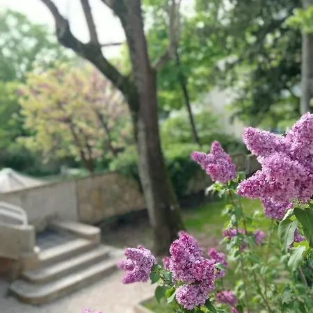 Collection Centre-ville Gare * דיז'ון