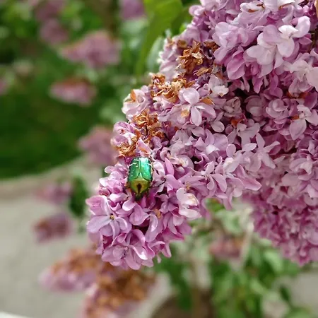 Collection Centre-ville Gare *