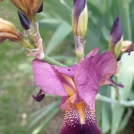 Apartment Collection Centre-ville Gare *