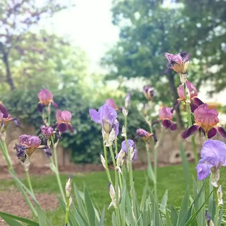 Collection Centre-ville Gare * Dijon