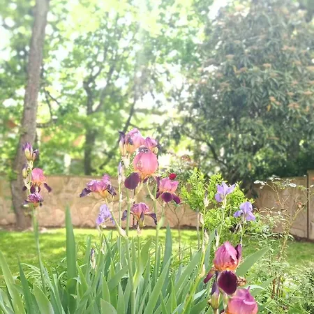 Collection Centre-ville Gare