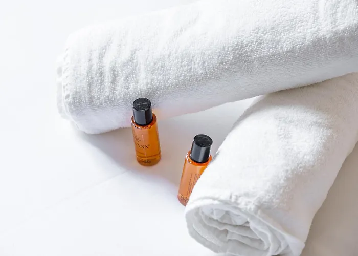 Collection Centre-ville Gare Dijon