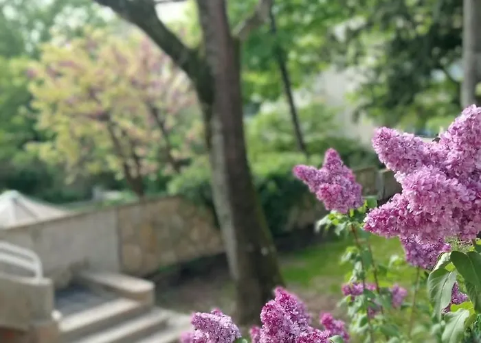 Collection Centre-ville Gare * Dijon