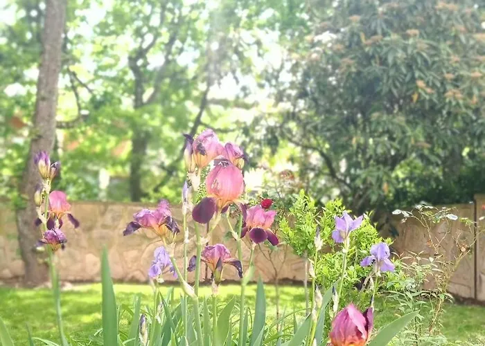 Collection Centre-ville Gare